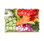 Small Brunch Tray-charcurerie-curedcatering-Cured Catering