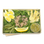The Niçoise-Salad-Cured Catering-Personal-Cured Catering