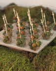 Hors D'oeuvres